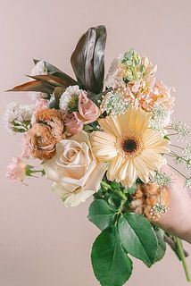 お届け例（内容は毎回異なります）