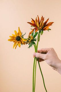 お届け例。咲き具合には個体差があります。