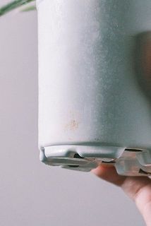 鉢が汚れている場合がございます。気になる場合は拭き取ってください。