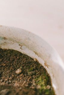 鉢の内側や外側に汚れがついていることがございます。ご了承ください。