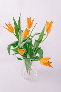 バレリーナのような姿を楽しんで🩰