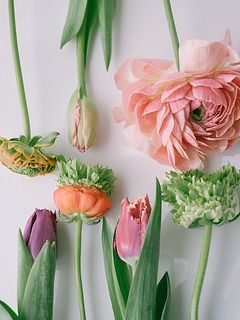 ユニークなお花を集めたブーケです！