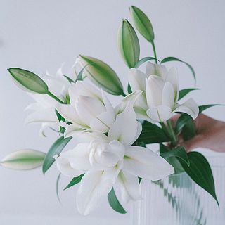 【grAce】 白色のゆりの造花3本(5輪)+3本(3輪) grAce】 白色のゆりの造花3本(5輪)+3本(3輪) grAce様専用】 白色