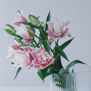 1本に3〜4輪ほどついています。咲き終わった花は取り除いてあげると、つぼみが咲きやすくなります。