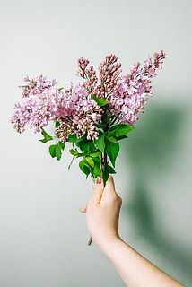 small_ea055806-03d0-4534-af8a-