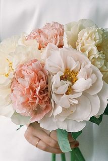 リナページ　23センチ芍薬オーダー 産直】センティアのミックス芍薬