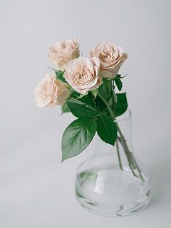 花器に飾ったイメージ