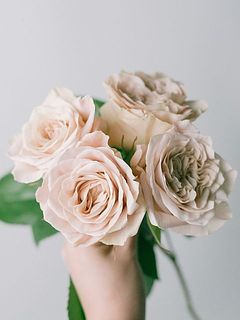 4本お届けします。