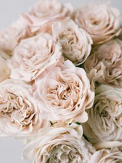 飾ると贅沢な気分になれる、フローリストいちおしのばらです😍