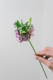 中心の葉っぱので具合には個体差がございます