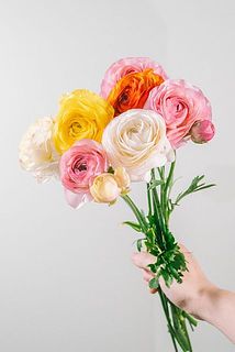 お色味はお任せでお届けします