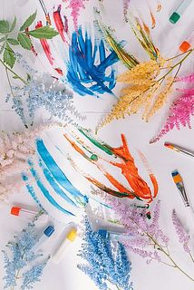 カラフルなアスチルベ達