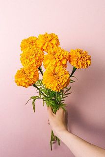 small_c7b71add-e4dd-4b00-89af-