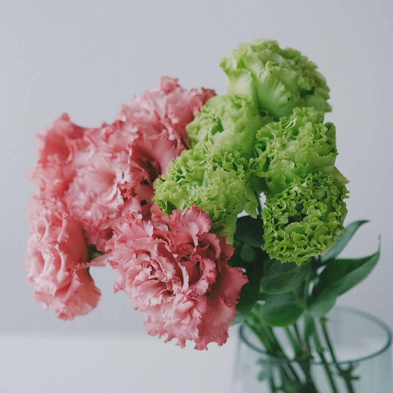 産直】北海道のおまかせモノリシアン