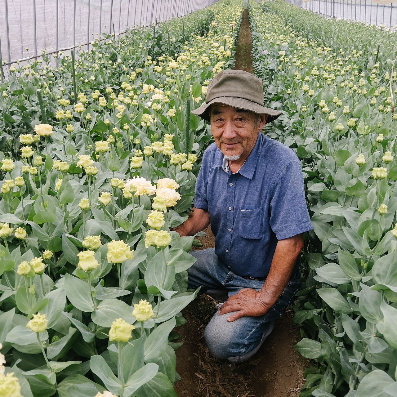 ひさc花 産直】北海道のおまかせモノリシアン