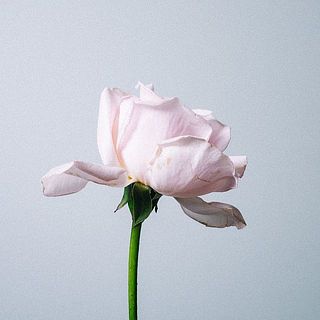 アンティークローズ