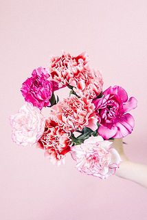 HC-10 Heartfelt Creations カメリアカーネーション 2026 Mother's Day🌹】 母の日の贈り物に、 カーネーション入り