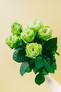 small_51a3bd55-e3e0-476e-b280-