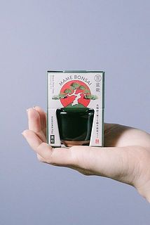 am☆さま専用 超特大一対90cm 門松 ハンドメイド 自然栽培 Amazon.co.jp: 盆栽妙 ミニ松 三点セット トドマツ 黒松 エゾ松