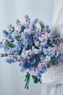 産直】北海道のおまかせスターチス（ブルー×パープル）