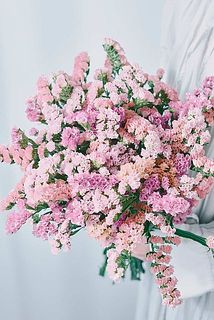 産直】北海道のおまかせスターチス（ピンク×オレンジ）