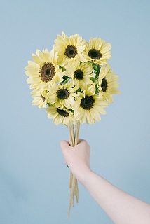 ひまわり「サンリッチパイン」
