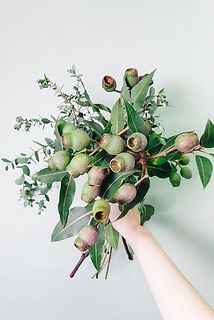 ベルギーナッツとユーカリのスワッグ