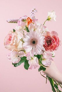 お届け例（内容は毎回異なります）