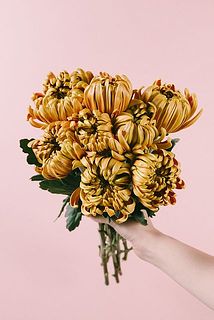 B レア　大輪マム（アンティークな雰囲気　切り花　花束 small_d6e8986e-bd6c-4048-970f-
