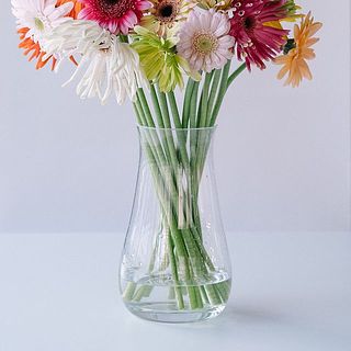 ガーベラは浅水で活けてあげて。