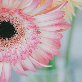 絶妙なカラーリングがおしゃれ。