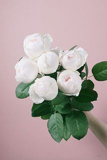 small_a9c26b45-9ed2-4e9c-b86b-