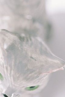 一部、傷がある場合がございます。