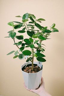 small_b841afde-a258-451e-bea2-