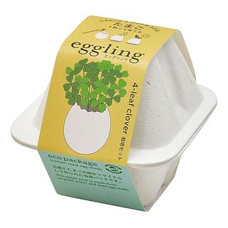 外箱イメージ。