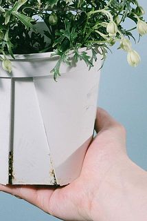 鉢に汚れがついていることがあります。気になる場合は拭き取ってください。