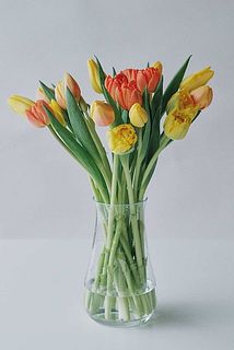 ぜひ大きめの花器に大胆に飾ってみて！あちこち自由に伸びるチューリップのかわいさが引き立ちます。［使用花器：mazzo  クリア］