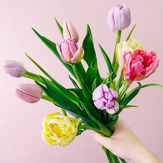 品種のバランスはおまかせです。