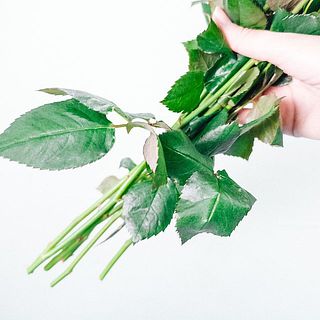 葉っぱは仕入れたての状態でお届けします。お花屋さんになった気分でとってあげてください。