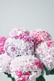 色味にも個体差があります。