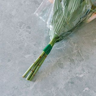 乾式輸送という保水をしない状態で発送します。届いたらすぐに水揚げを。