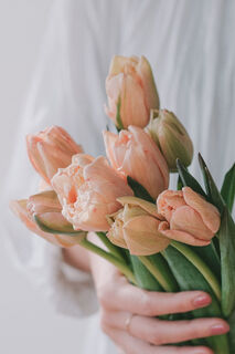 産直】清都農園のセピアチューリップ