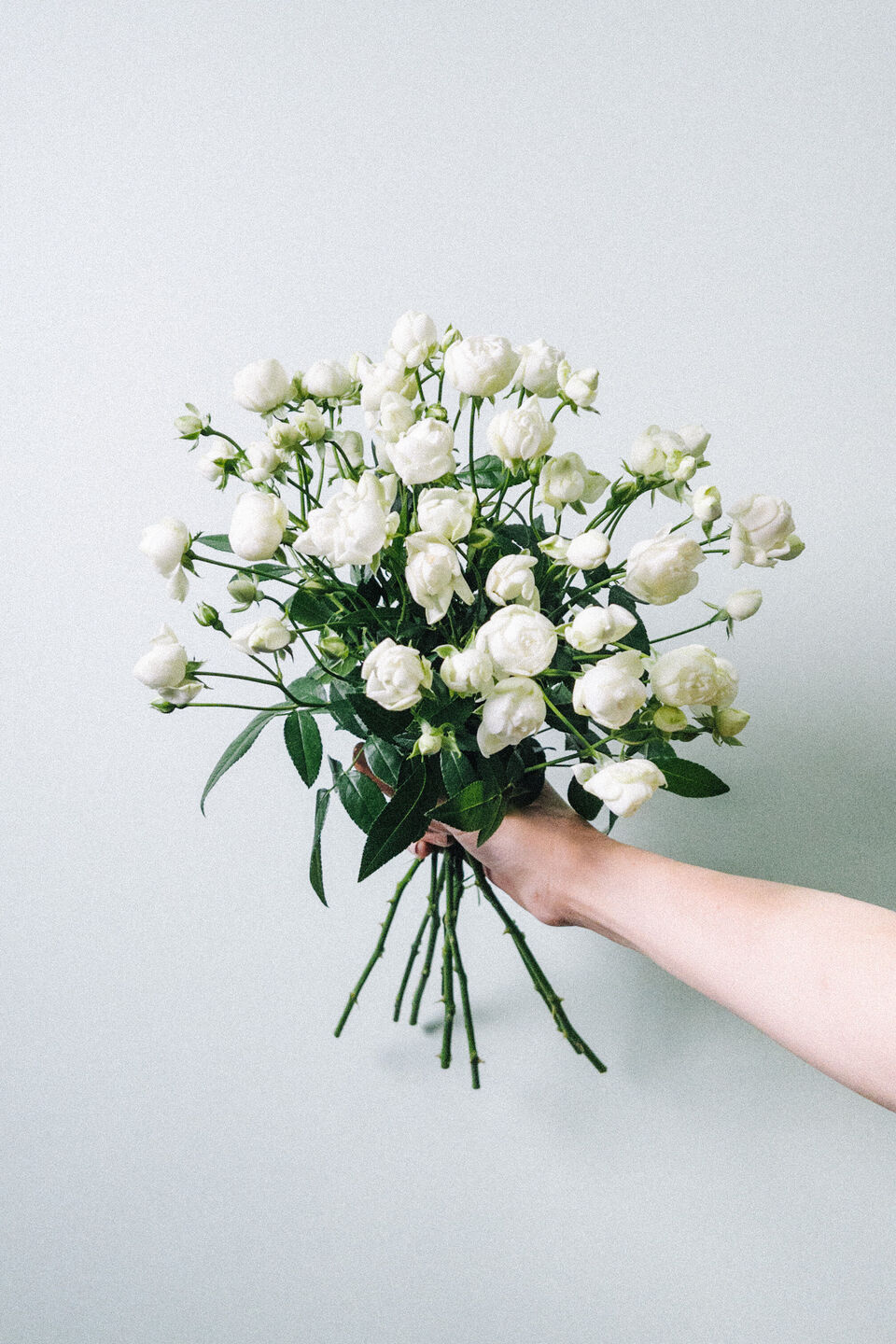 スイートオールド