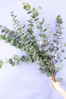 ミックスユーカリ（ロングサイズ）