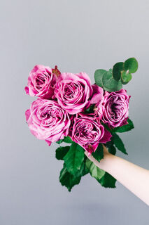 バラ　レオナルド・デイル バラ「リバーデイル」