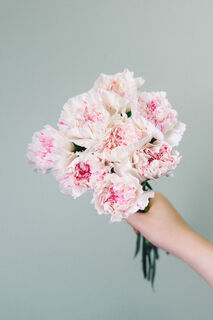 カーネーション「ユカリチェリー」