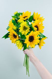 ひまわり FLB-8056-L_GL24.jpg