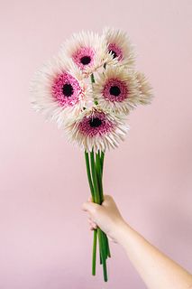 大輪ガーベラ「スタント」