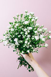 ハンドメイド　花材　ドライフラワー　ホワイトウッズ　薔薇　r-7 ハンドメイド 花材 ドライフラワー ホワイトウッズ 薔薇 r-7 ホワイト