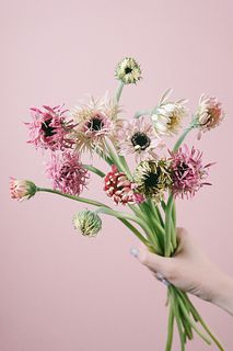 【専用】フラワーカービングなど CARNAC/フランソワピック13-GR グリーン/HSP86GR - 花材通販はなどんや